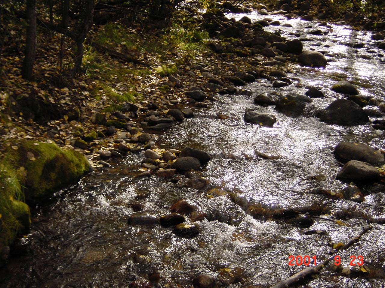 Kids and my trip to America, river rafting on the Colorado