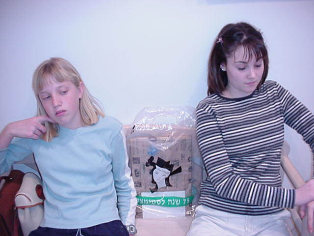 The Bat Mitzvah party, photograph 16